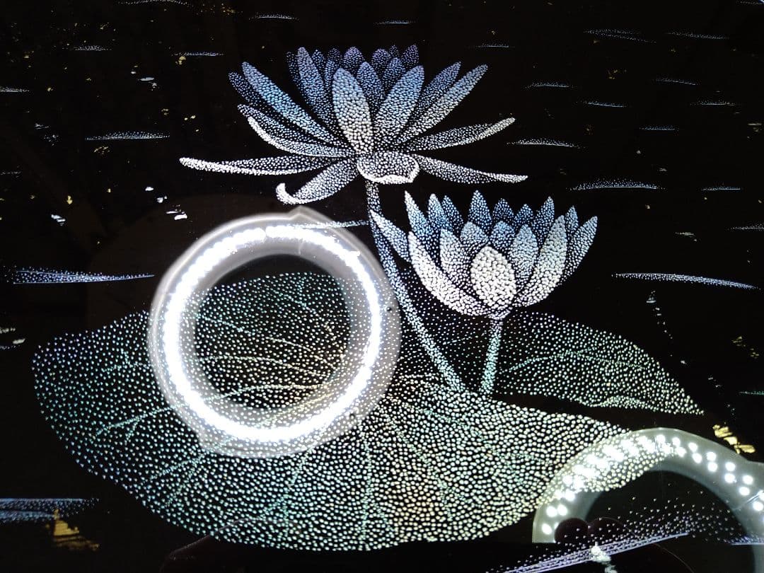 輪島塗沈金 試作「 睡蓮」溜塗り半月盆