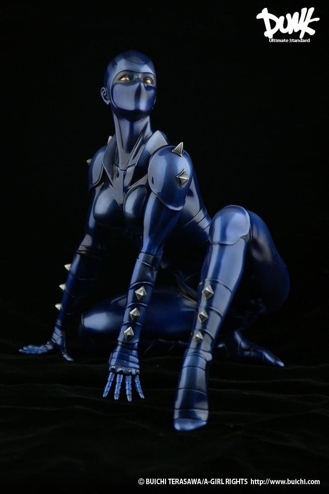 新品未開封 DUNK スペースコブラ レディ フィギュア