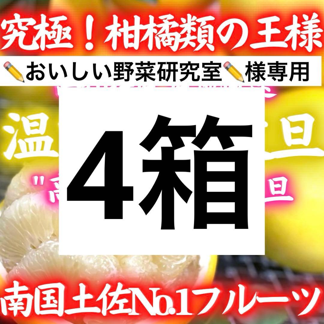 2高知特産 温室土佐文旦 ハウス 土佐文旦 文旦 3kg×4箱