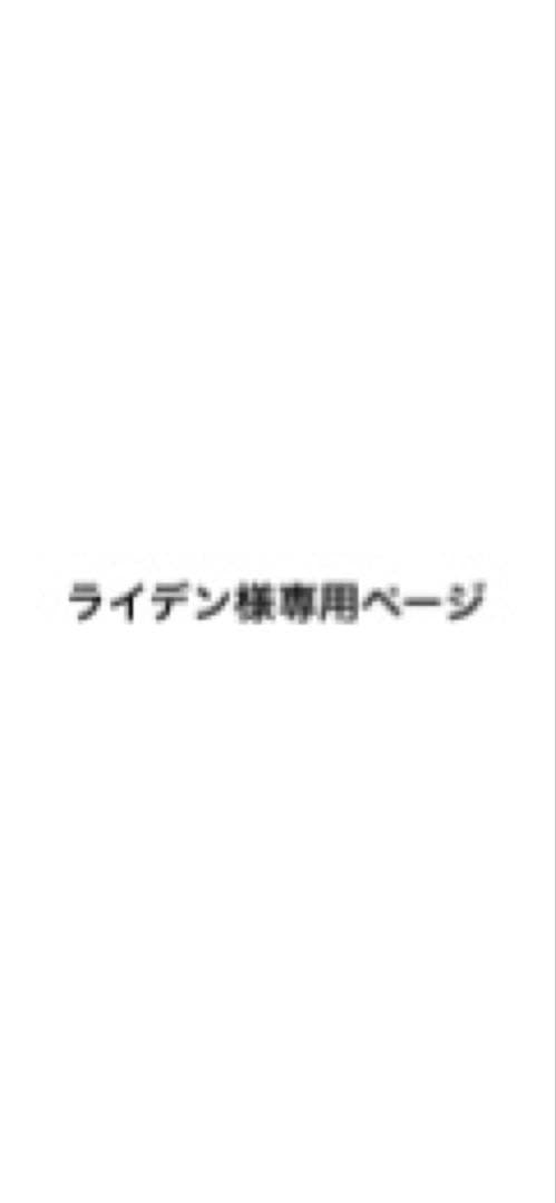 ライデンページ