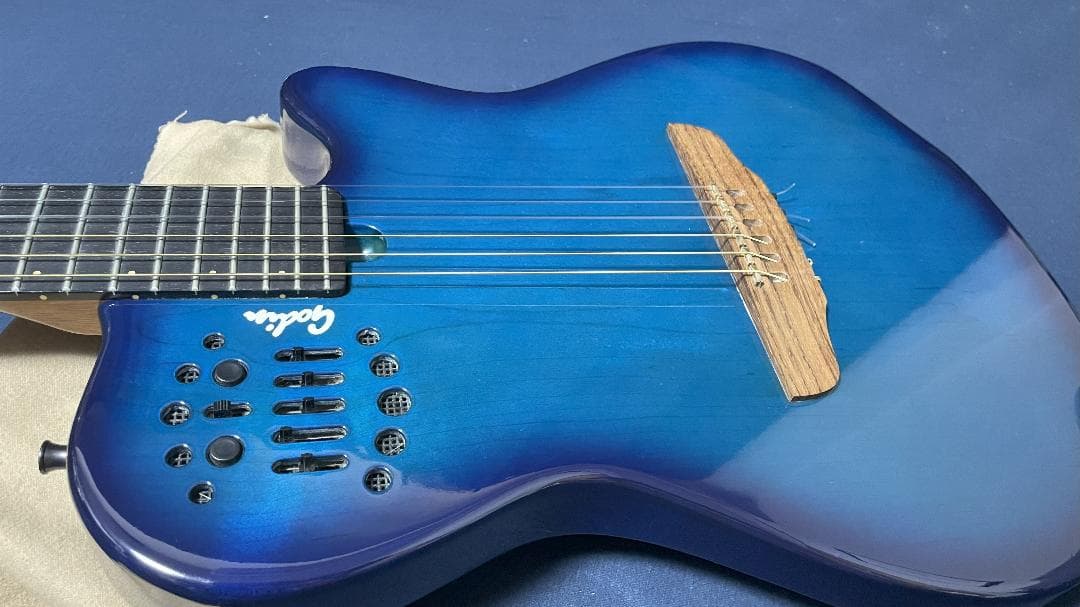 【最終値下げ】Godin Multiac Nylon SA ゴダン エレガット