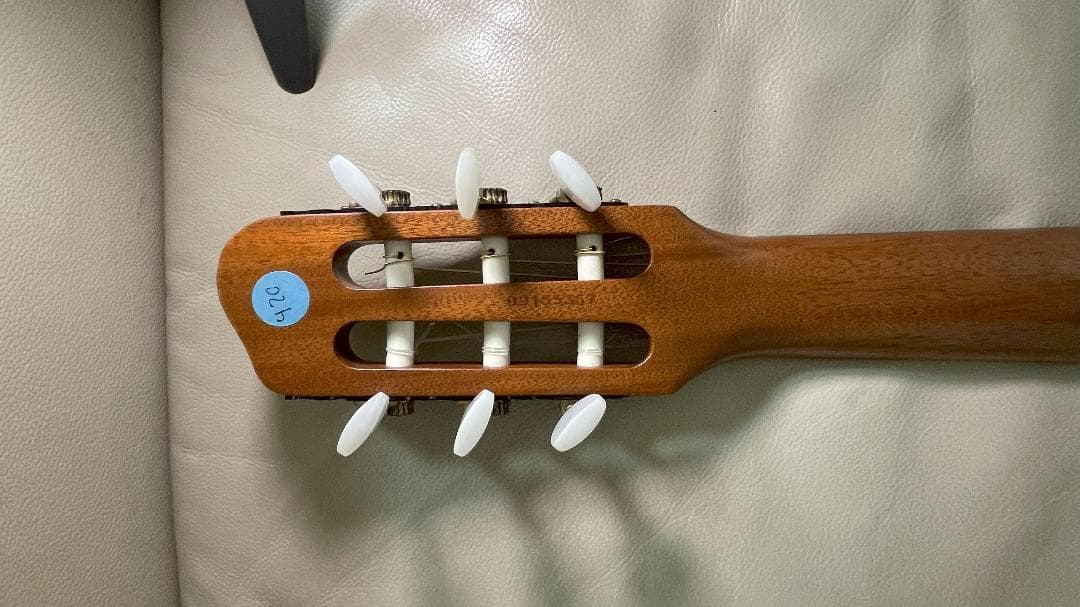 【最終値下げ】Godin Multiac Nylon SA ゴダン エレガット