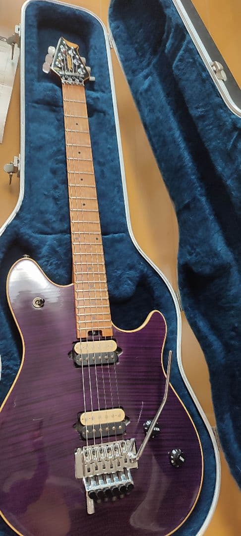 ギター PEAVEY EVH Wolfgang USA