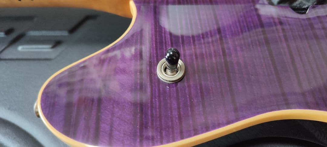 ギター PEAVEY EVH Wolfgang USA