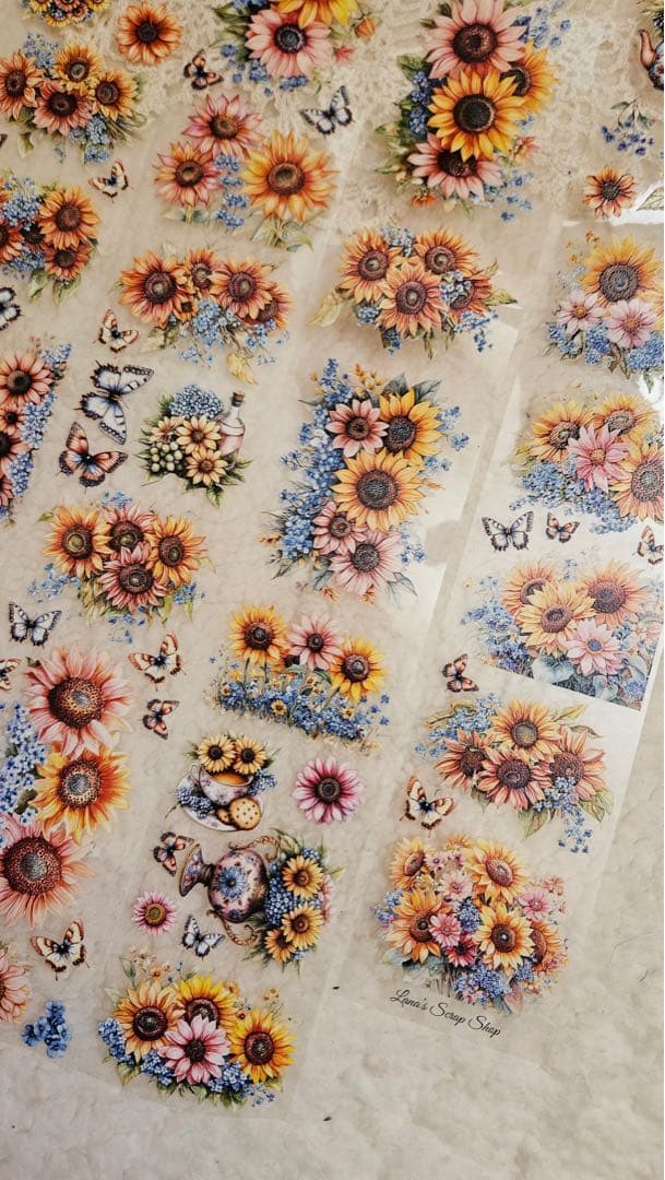 Lana's Scrap Shop 海外マスキングテープ　マステ 【2414】