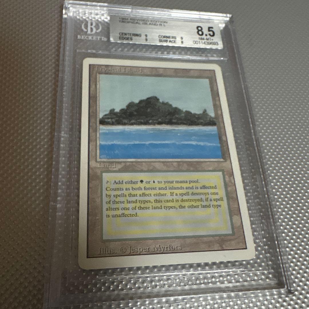 【鑑定品】tropical  トロピカルアイランド　リバイズド