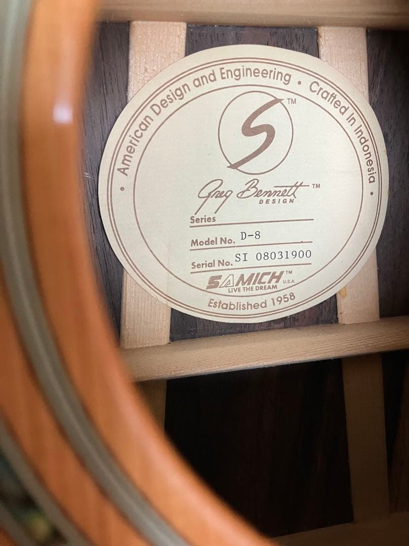 Greg Bennett グレッグ・ベネット　D-8