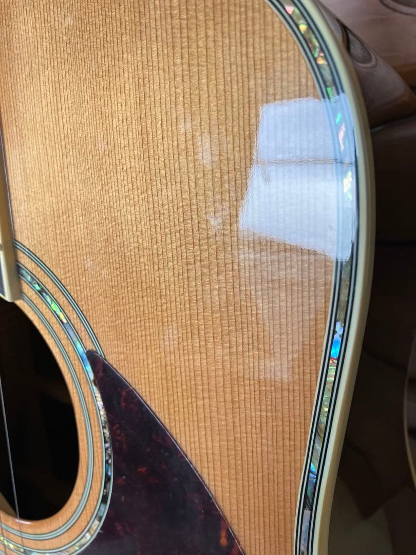 Greg Bennett グレッグ・ベネット　D-8