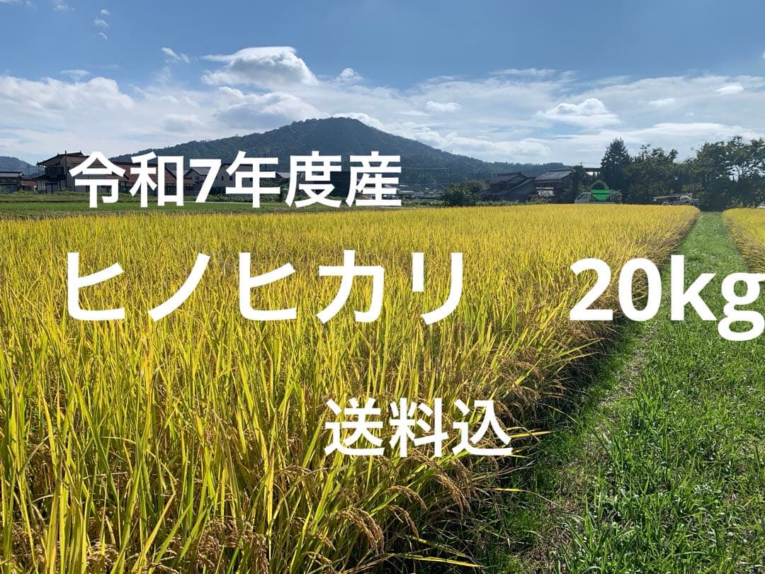 令和7年度産　ヒノヒカリ20kg(玄米) 減農薬　農家のお米