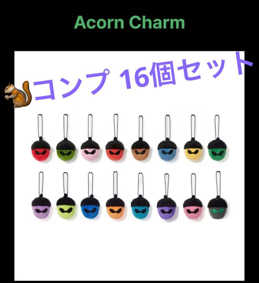 HOPE ON THE STAGE どんぐり コンプリート16個 ホソク