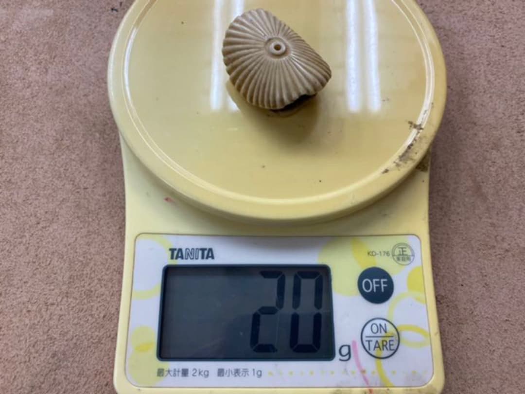 オークセール】根付(ねつけ) 変わり柄