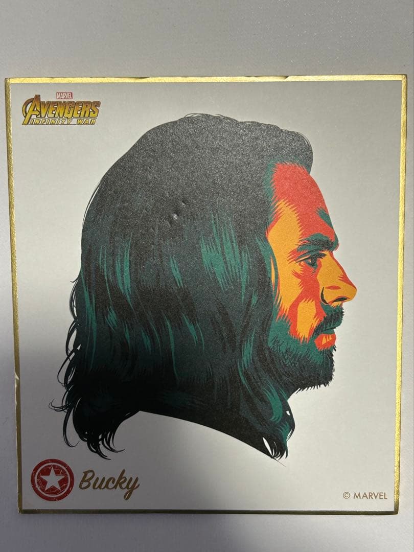 激レア　ウィンターソルジャー　バッキー　セバスチャンスタン　色紙　アベンジャーズ