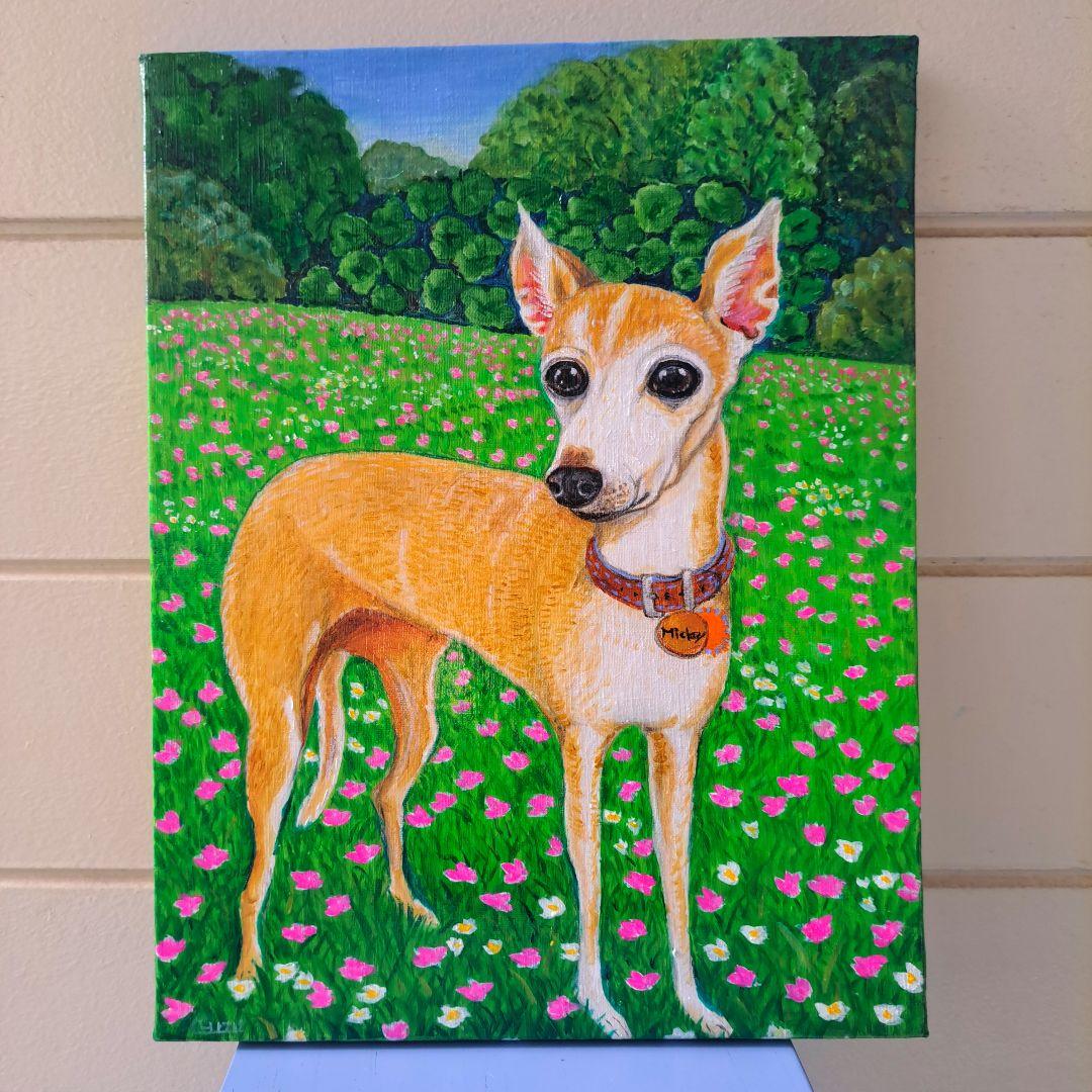 専用　油絵　イタリアングレーハウンドの美しいMickeyちゃんと小花咲く草原