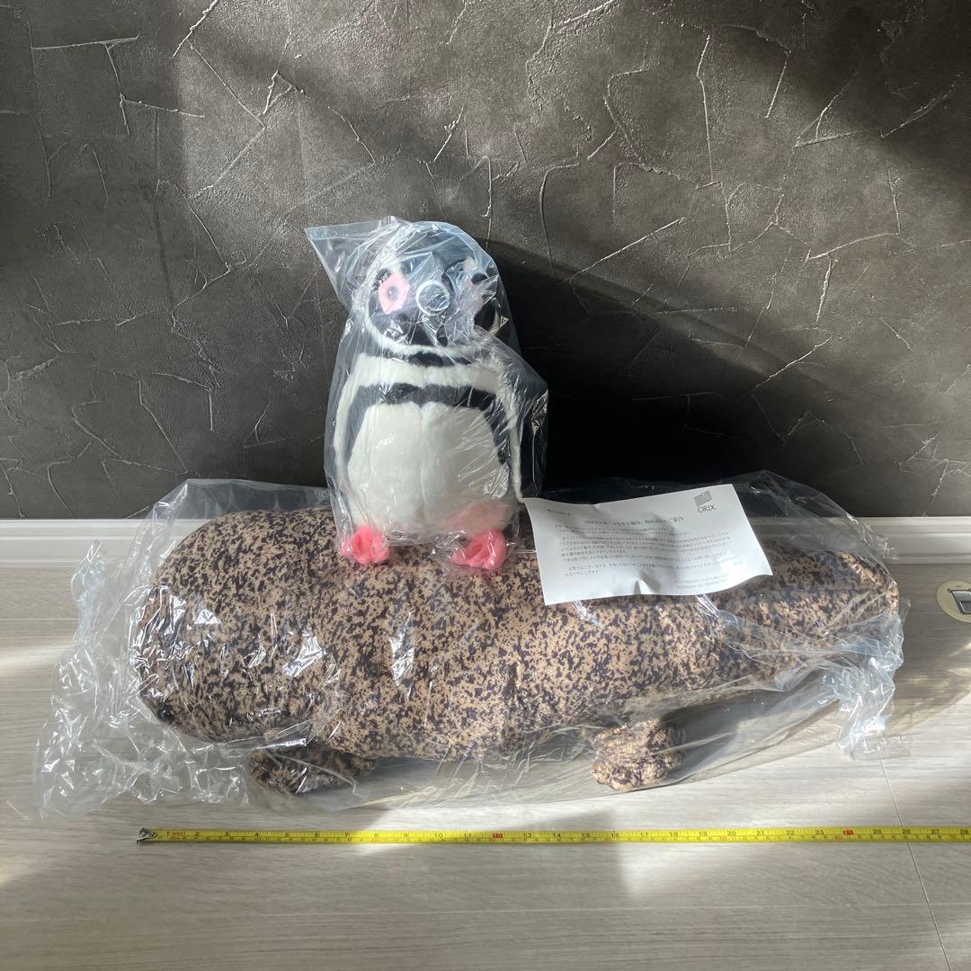 京都水族館 オオサンショウウオLL ペンギン
