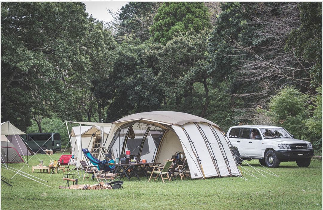 【新品未使用】Ogawa アポロンT/C