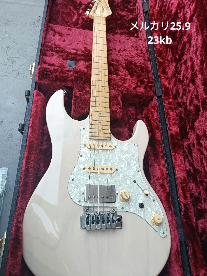 FUJIGEN　EOS ASH WB ギター（セミオーダー品）　ハードケース付