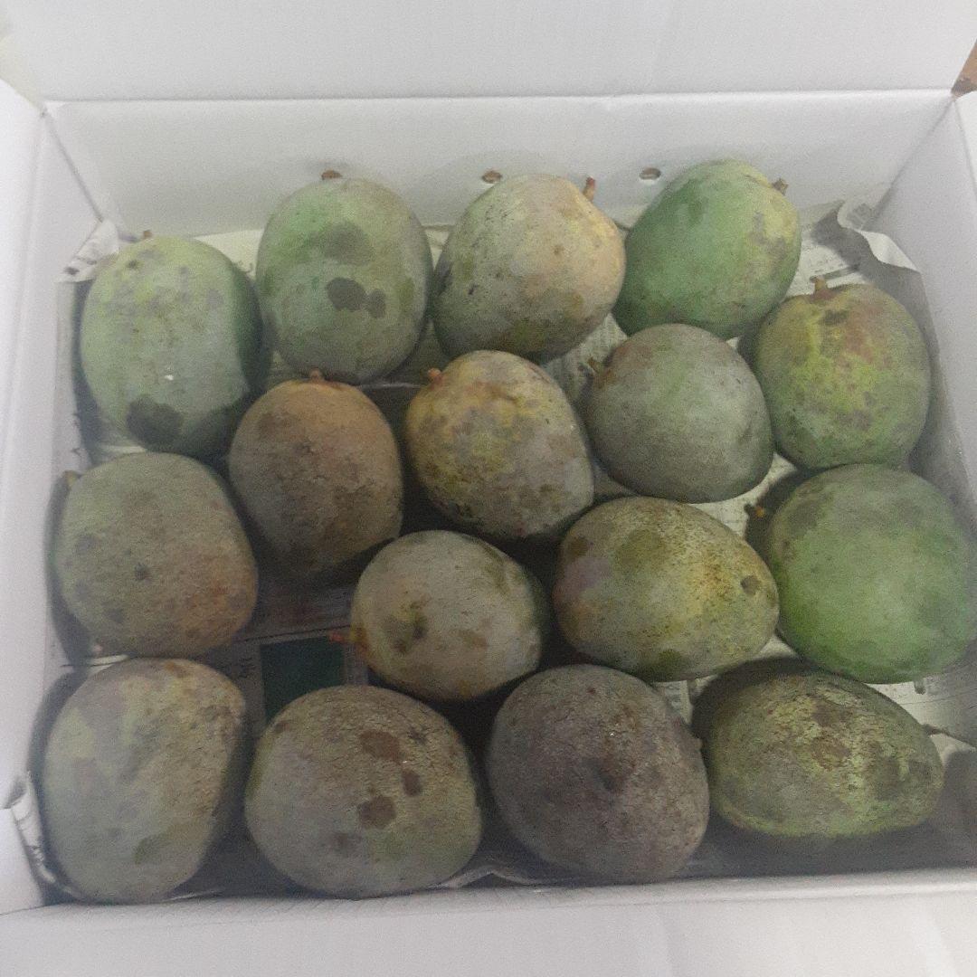 キーツマンゴー6㎏②