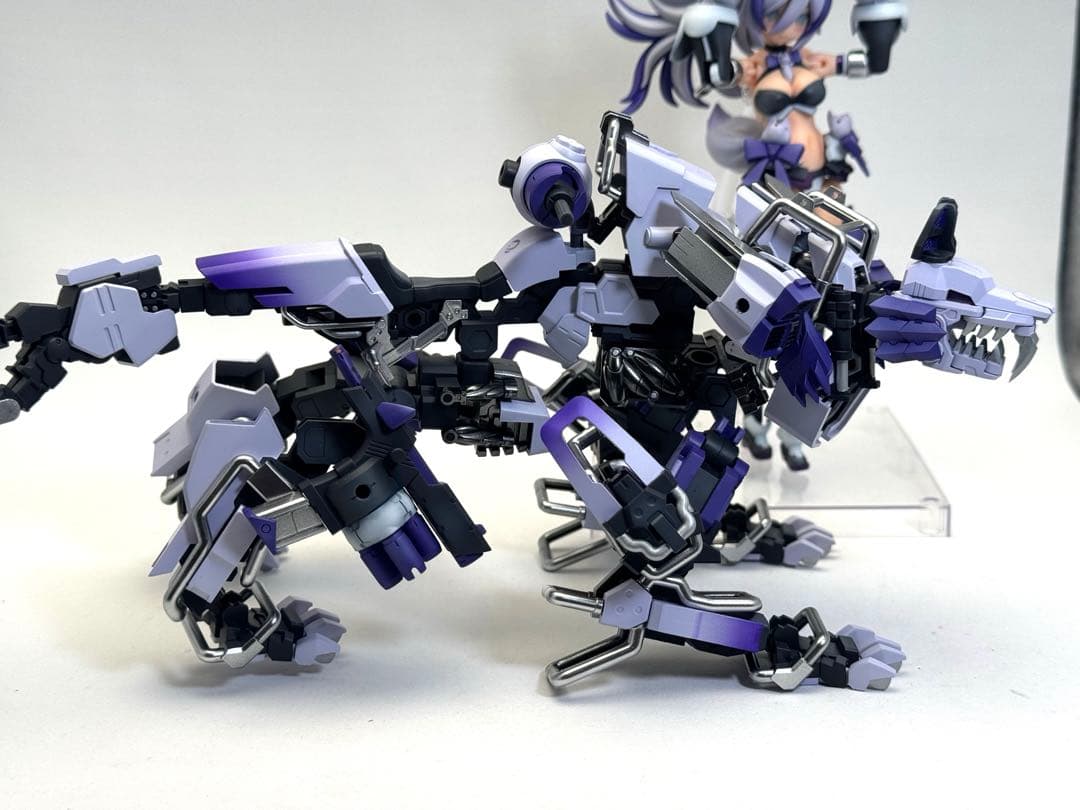 プニモフ　ラン　完成品