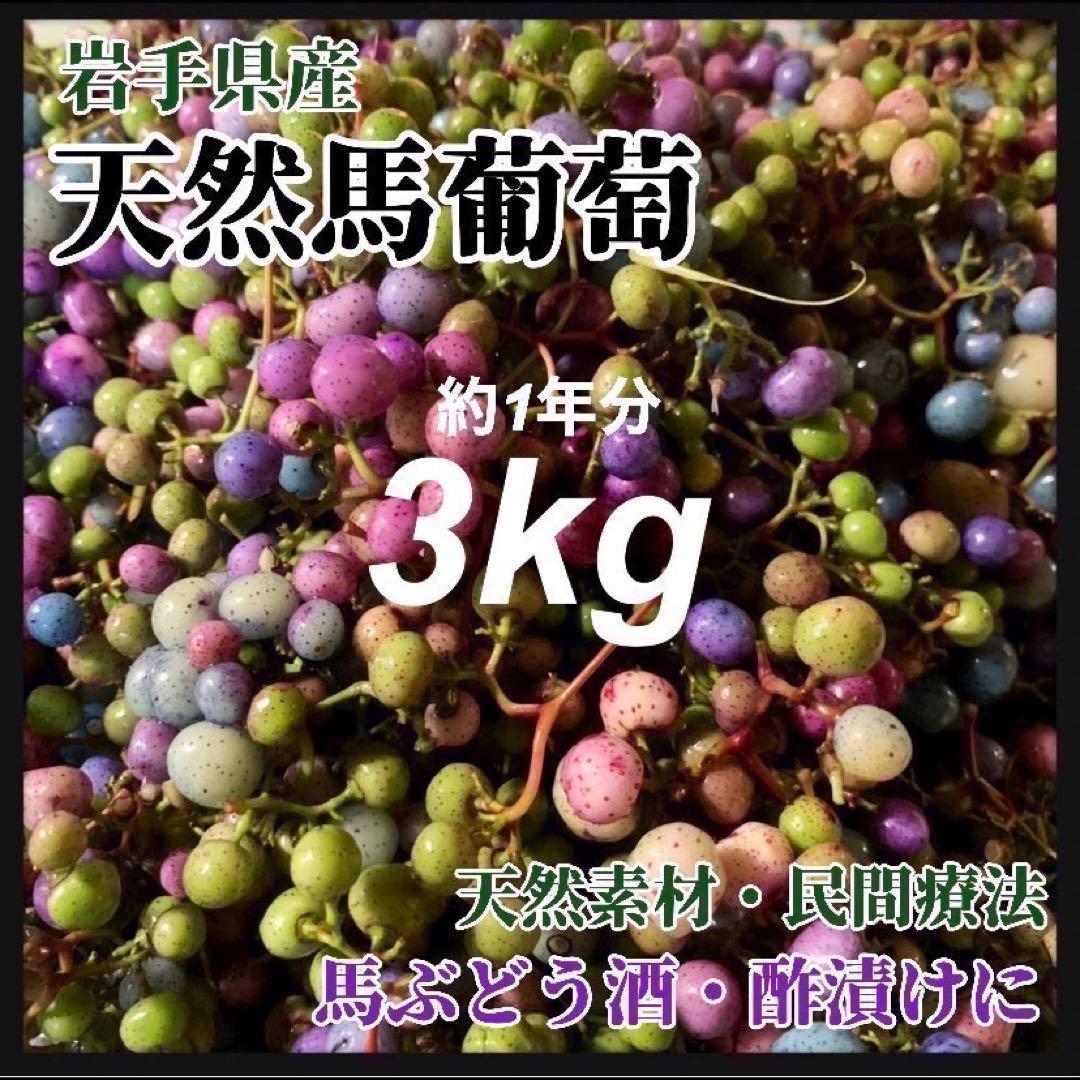 【採れたて】馬ぶどう250g×12袋　1年分3kg うまぶどう　薬膳　薬膳の素