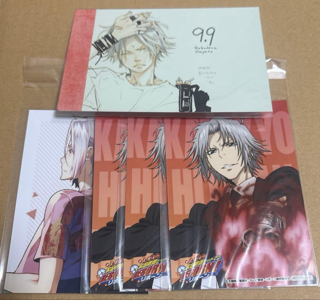 家庭教師ヒットマンREBORN リボーン 獄寺隼人 ポストカード 天野明展