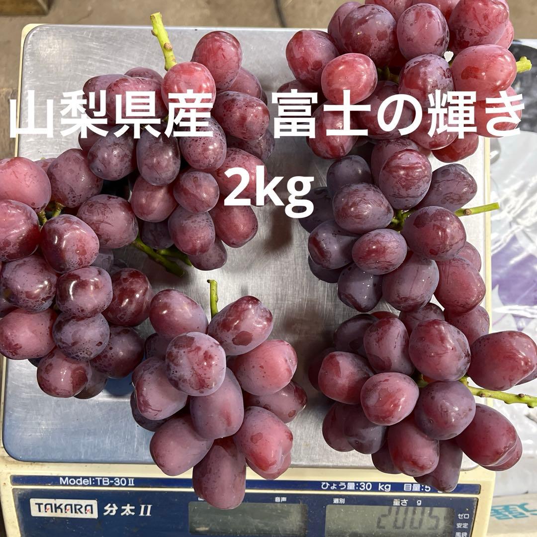 #2 山梨県様　富士の輝き　2kg