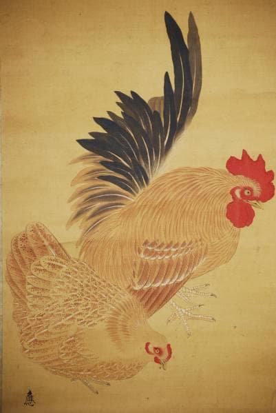 模写/円山応拳/旭日/双鶏図/布袋屋掛軸HB-942
