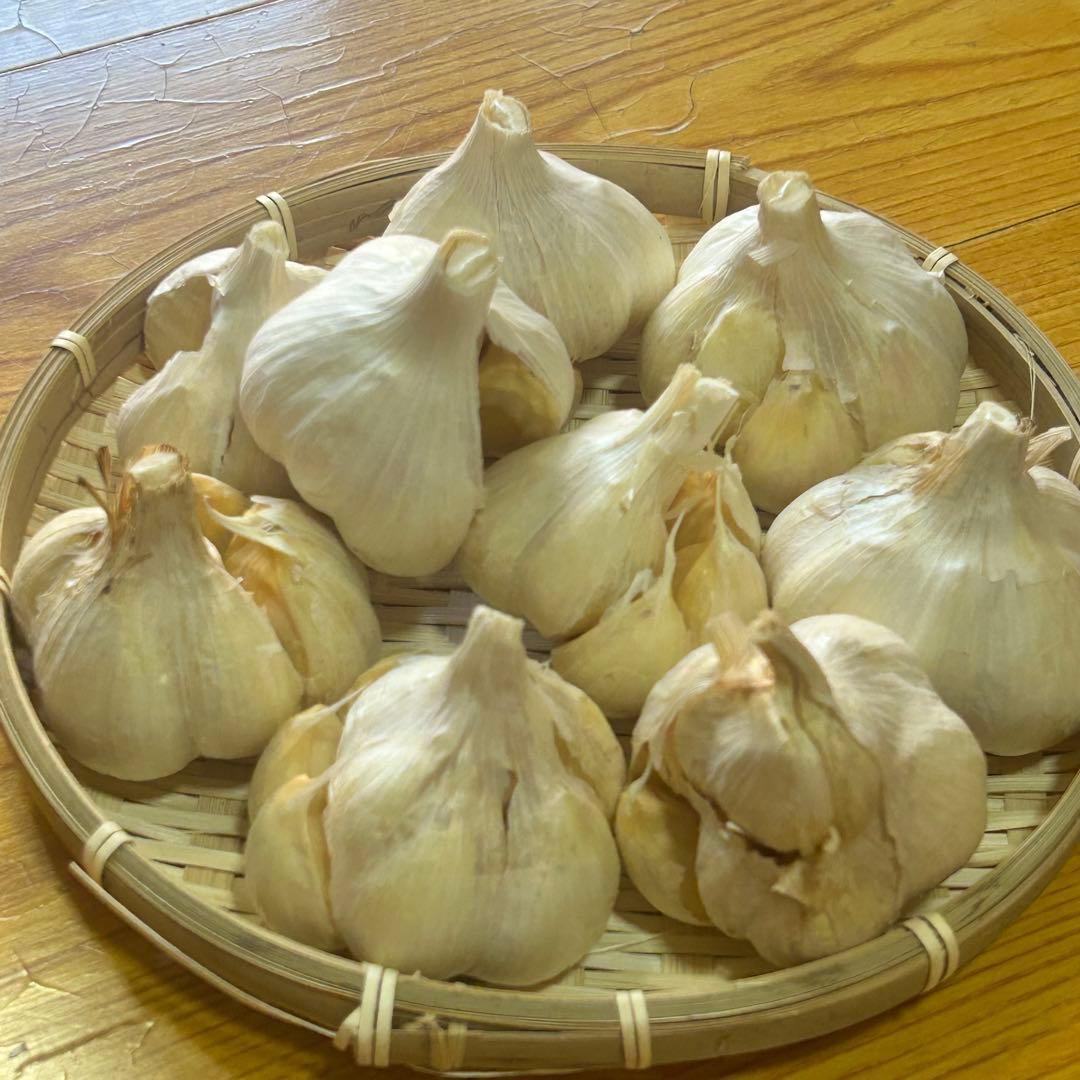 【お買い得セール】青森県 福地ホワイト にんにく L 5kg 　黒にんにく加工