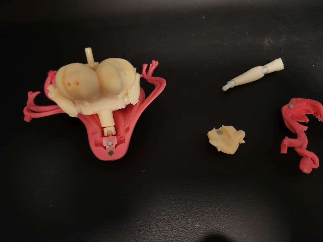 概要欄を最後までお読みください アズールレーン ブレマートン 可動ガレージキット