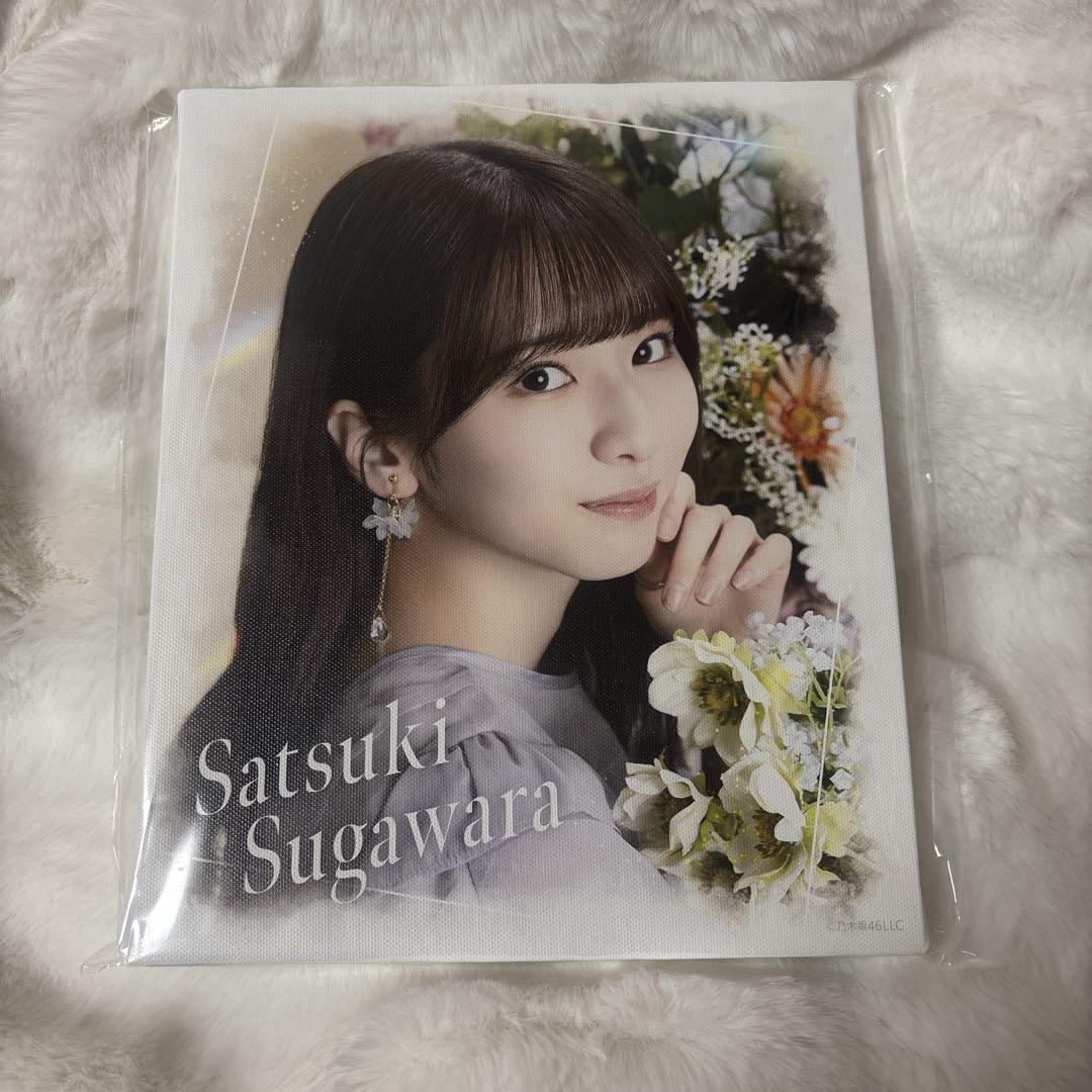 ❥❥❥ 希少！乃木坂46 菅原咲月 のぎbox キャンバスボード 。