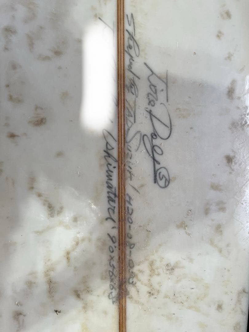 ロングボード 5fin goddess