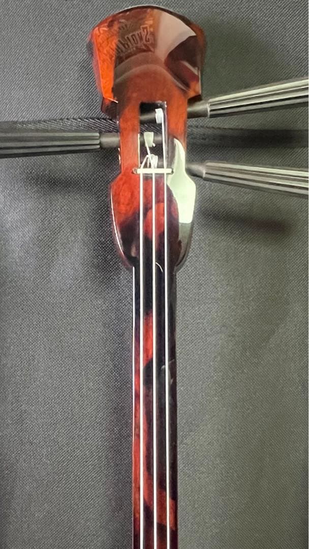 三線 八重山黒木 ウジラミ