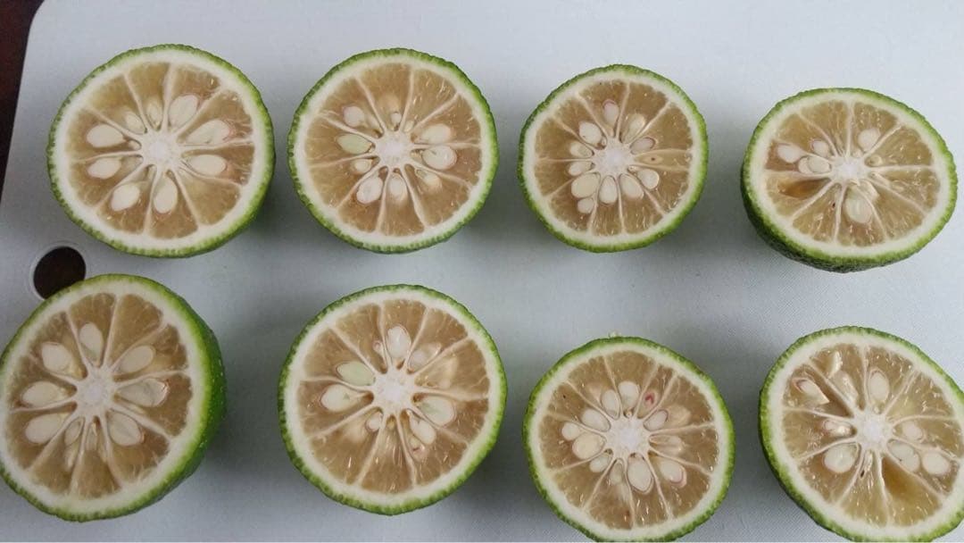 引越し断捨離さん専用　完全無農薬　ゆず　7kg