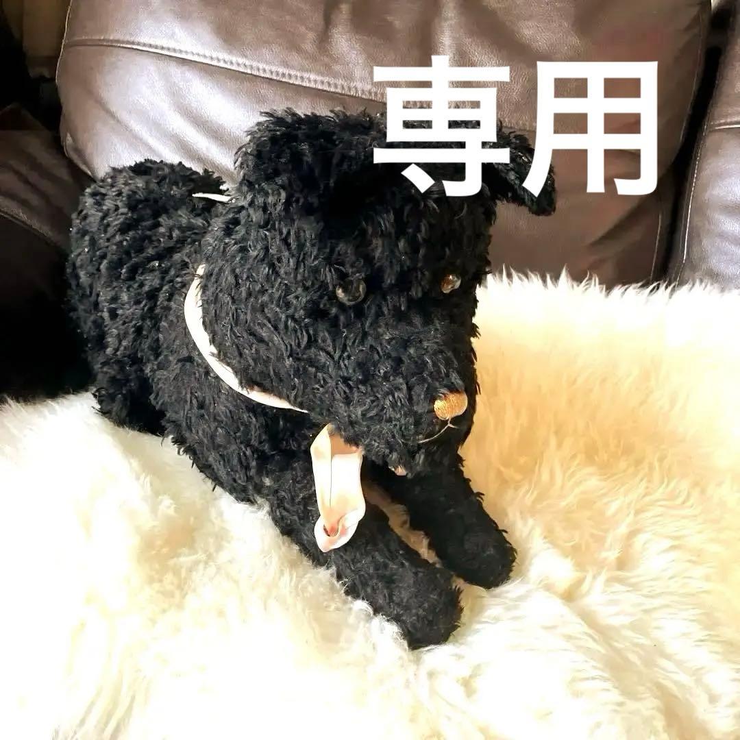 フランスアンティークパジャマドッグ　フランスアンティークパジャマドック　犬