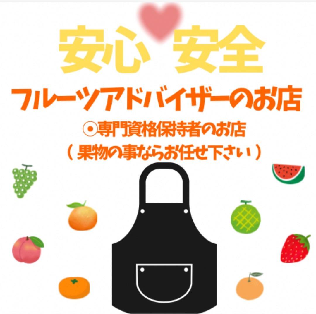 ㉖高知特産 露地栽培 土佐文旦 4L限定 文旦 約20kg 大玉 サイズ