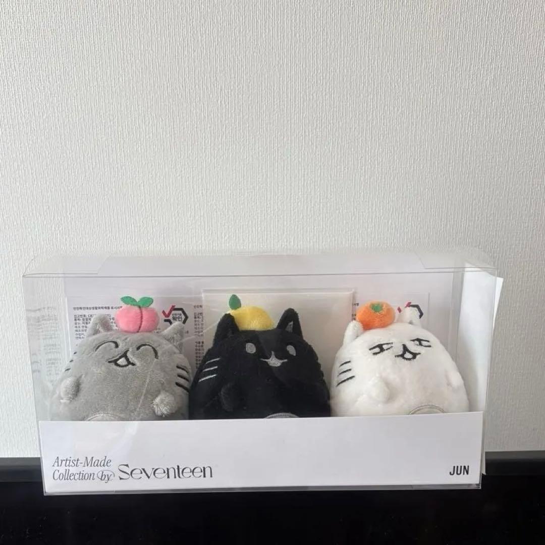 SEVENTEEN JUN アーティストメイド