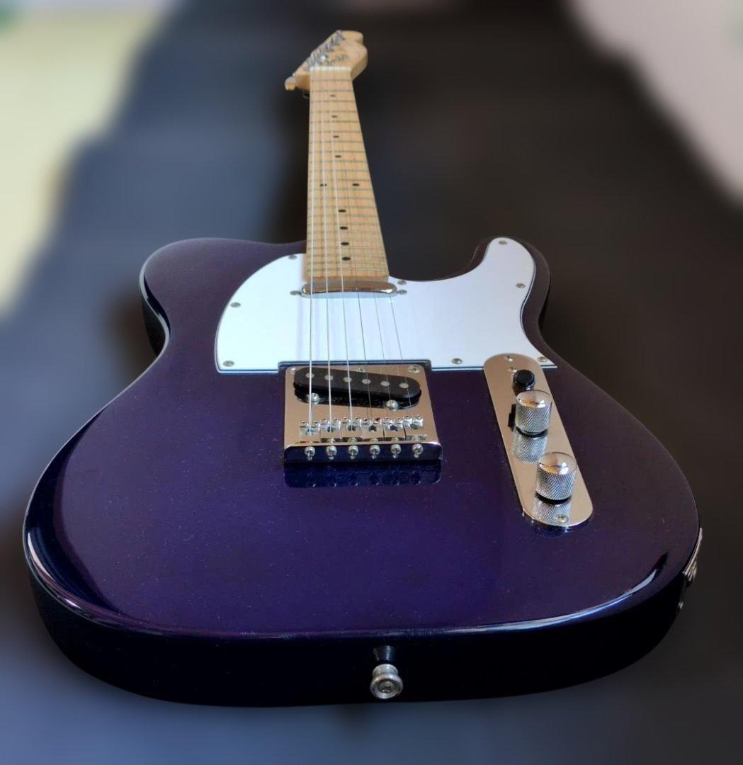 テレキャスター メーカー不明 ペグFender Fenderハードケース付き