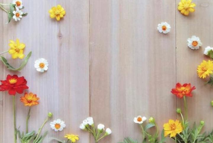 M1103. 田小宝的星空 Tape girl マスキングテープ PET