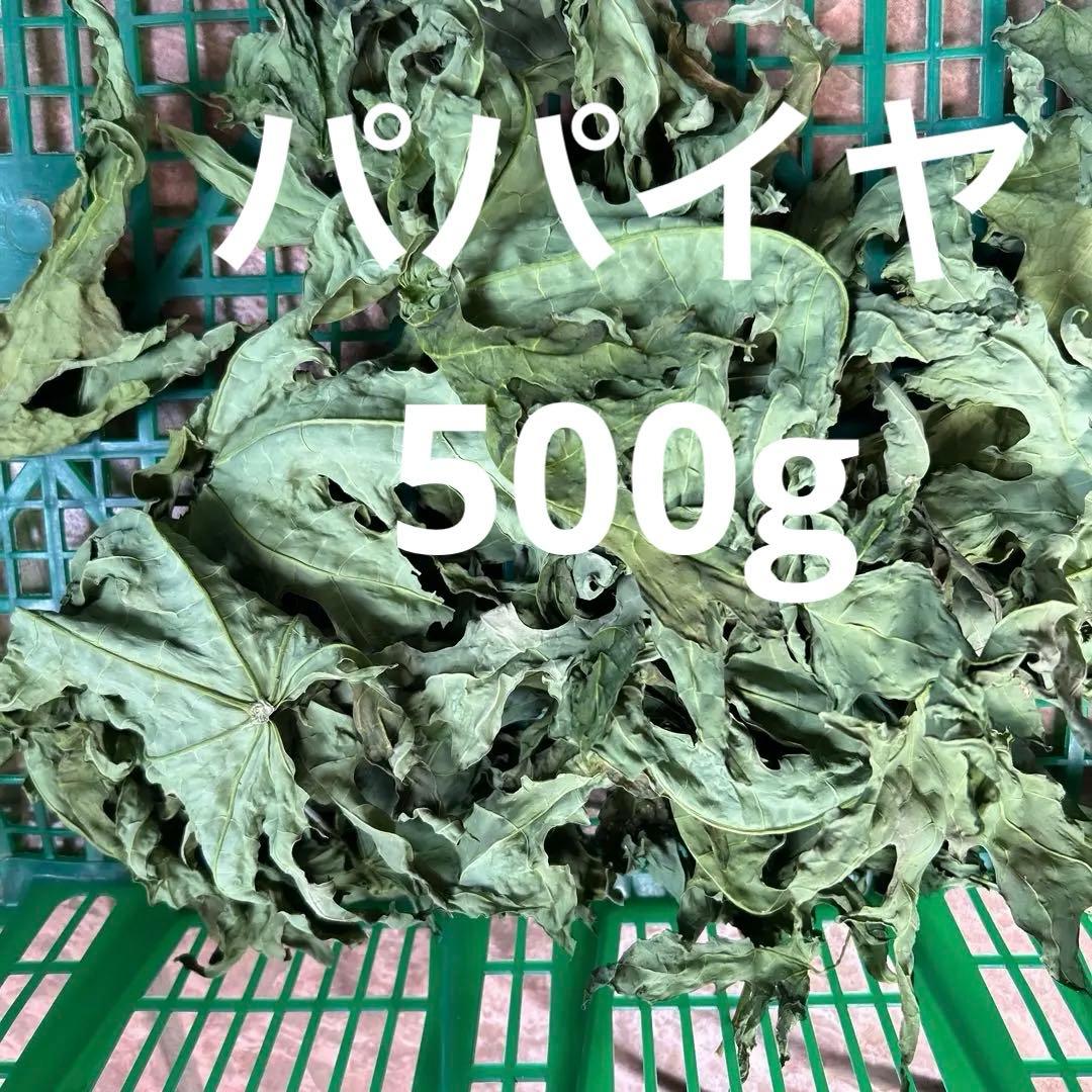 乾燥パパイヤ葉500g