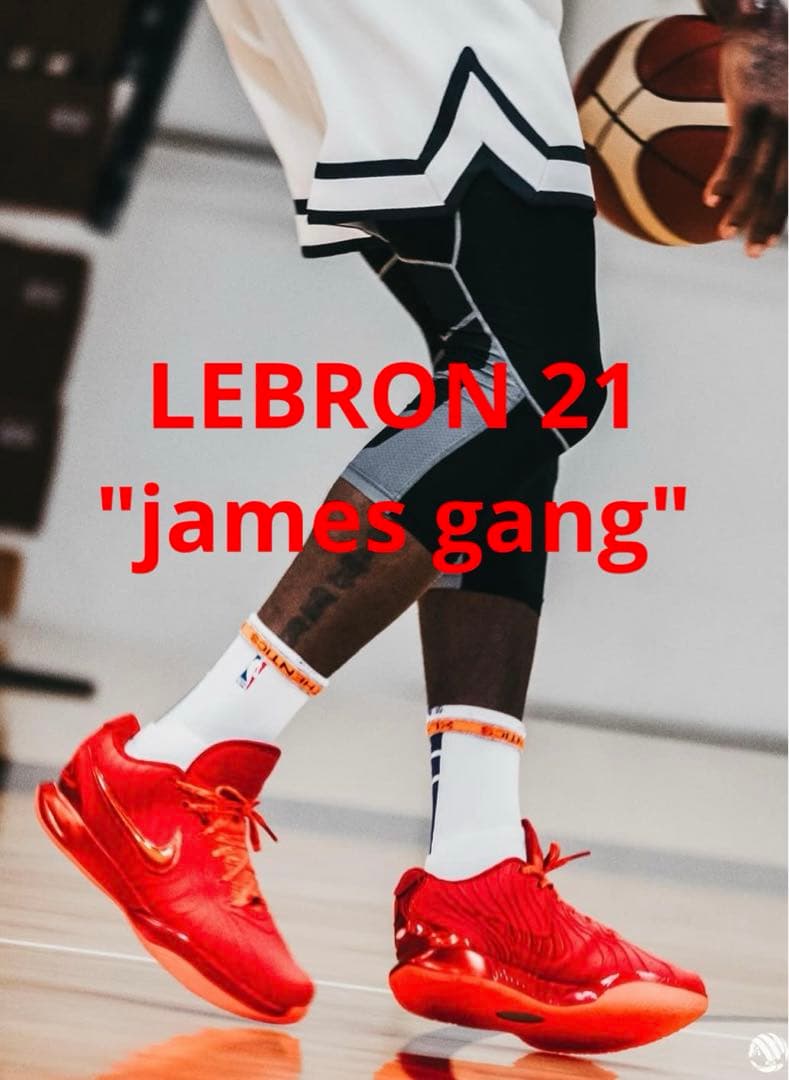 nike lebron 21 james gang ナイキ　レブロン ジェームズ