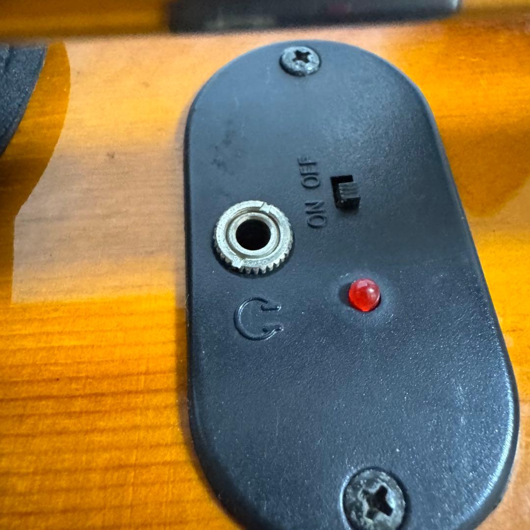 Palatino パラティーノ　エレクトリックコントラバス　アップライトベース