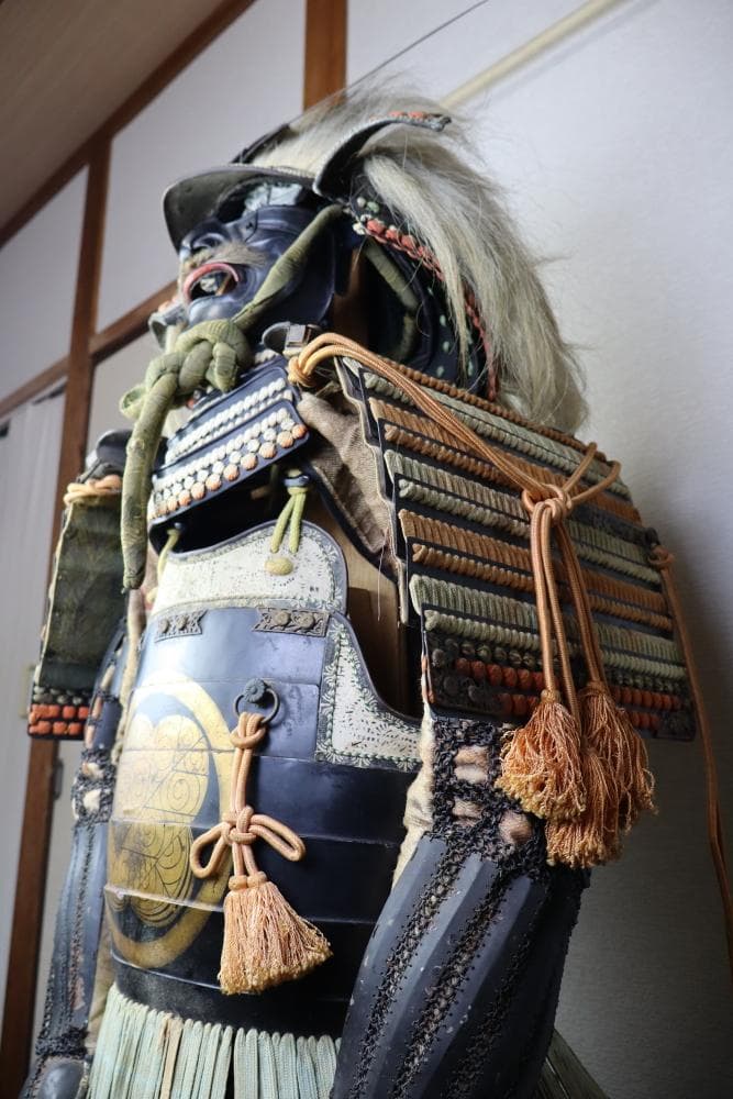 チワワさん専用　等身大　武田信玄調の甲冑