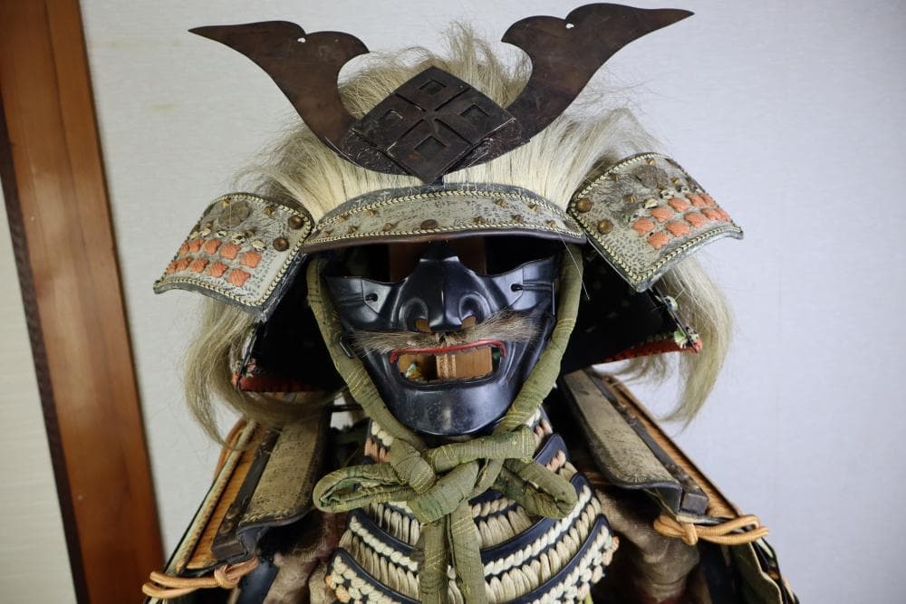 チワワさん専用　等身大　武田信玄調の甲冑