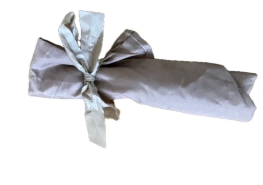 【引取限定】 ショウワガレージ オーニング 2m×2.5m カーサイド タープ