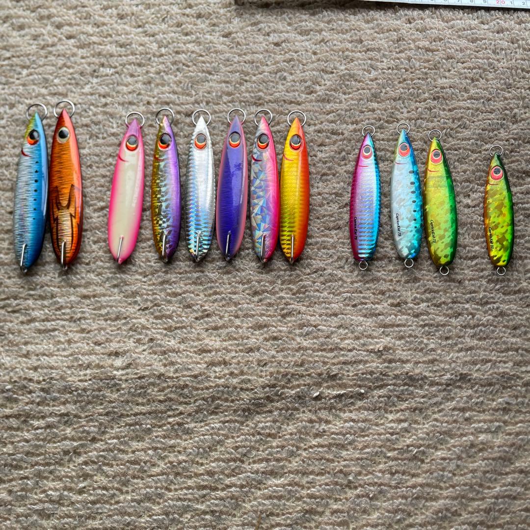 エバーグリーン　カプリス　12個