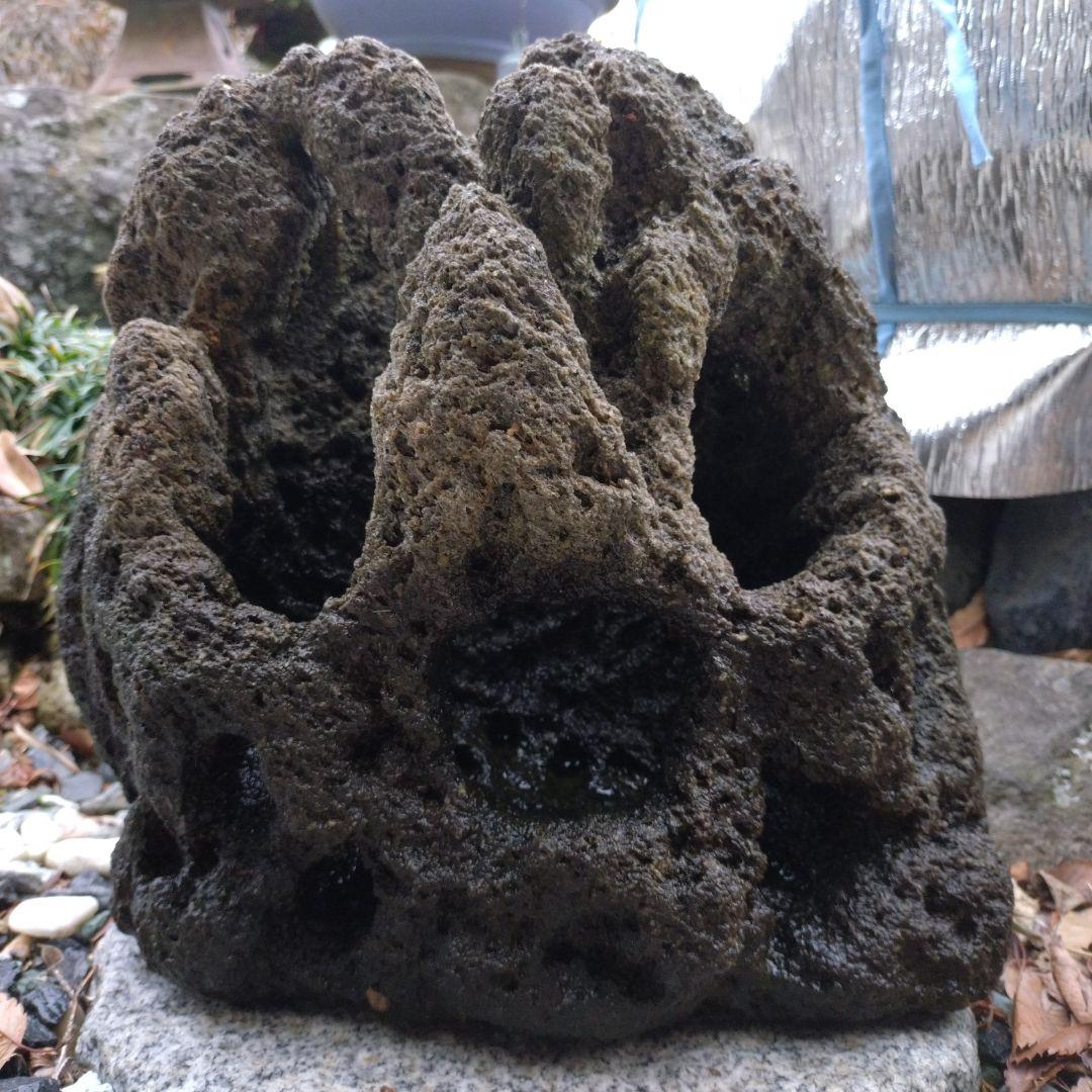 黒い溶岩石 水槽用石 大型