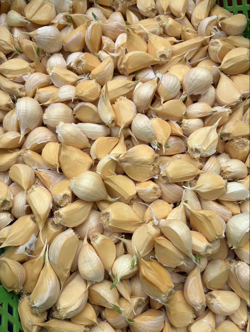 【激安】青森県産にんにく MIXバラ20kg福地ホワイト　お買い得