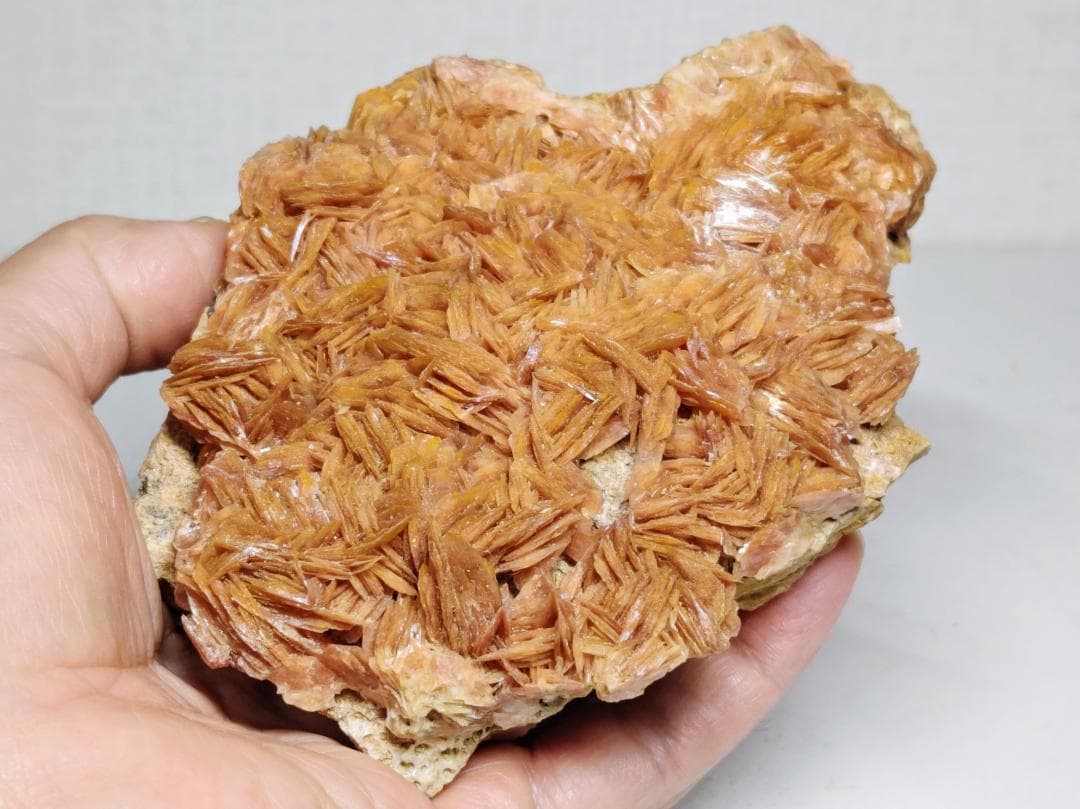 共生 784g バライト セルサイト ガレナ 鑑賞石 原石 自然石 鉱物 鉱石