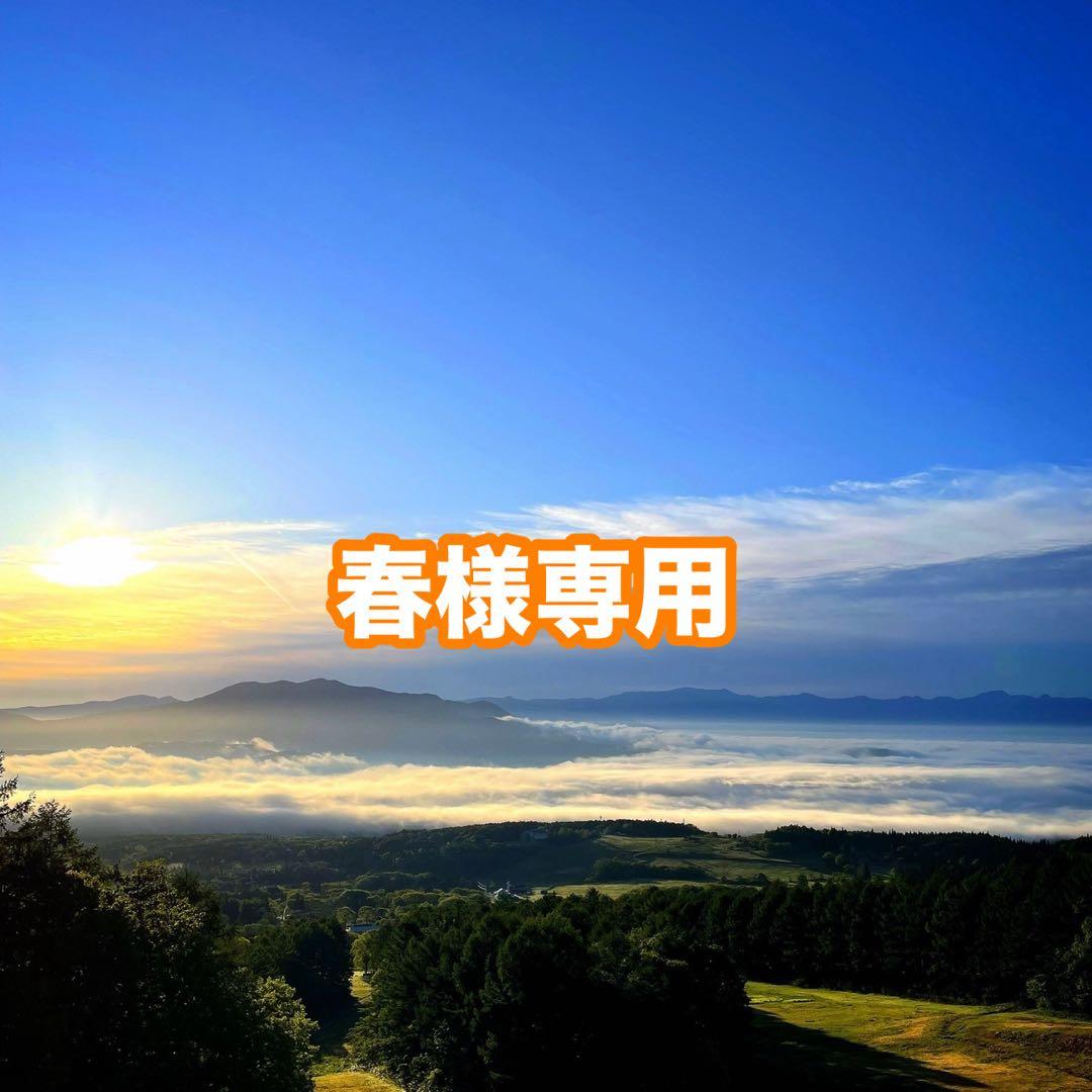 春‼️天然きのこ ハナイグチ2kg‼️クール便送料込