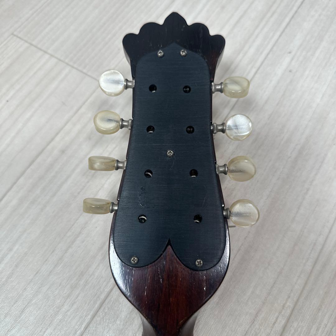 S. Watanabe No.50 Anno1971 渡辺精次 鼈甲多 ※31※