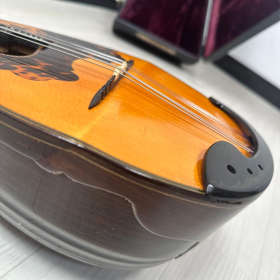 S. Watanabe No.50 Anno1971 渡辺精次 鼈甲多 ※31※